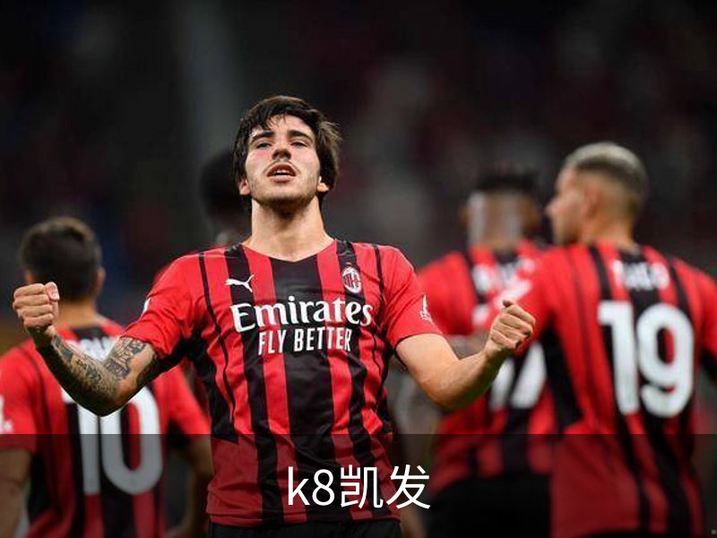 k8凯发介绍